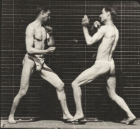 Plate 338 Boxing, open hand — figure reference